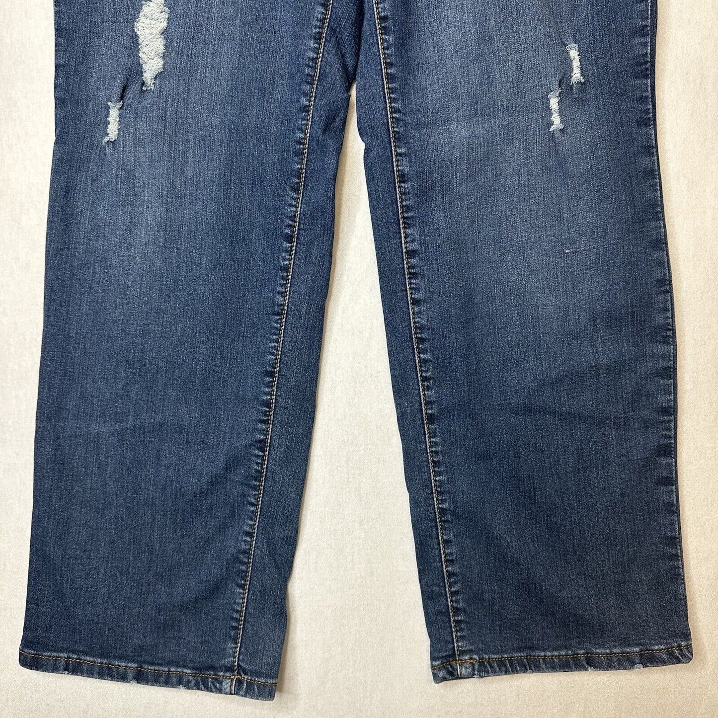 Earl Jeans Womens 20W Straight Leg Blue Stretch Denim Distressed Medium Wash