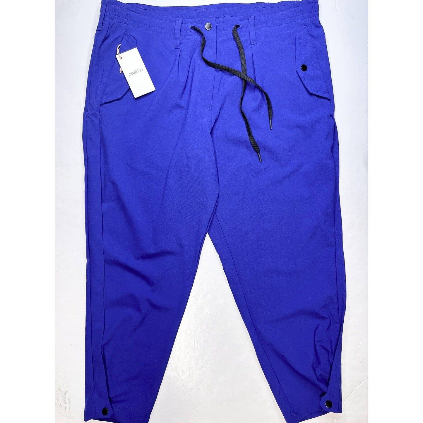 Paskho Sanctuary Cropped Pleated Stretch Tech Travel Pants Womens XL Blue NEW