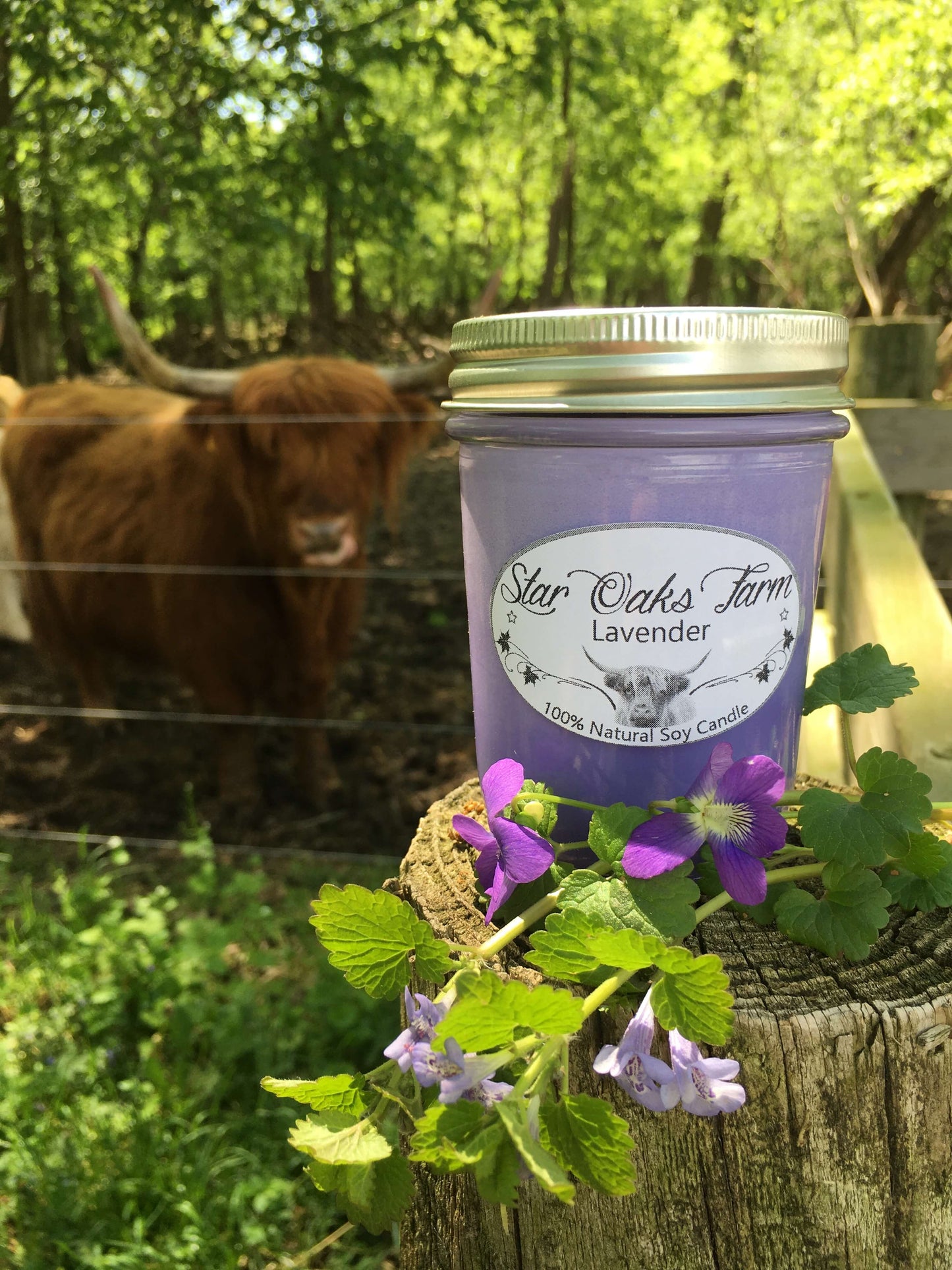 Lavender Soy Candle