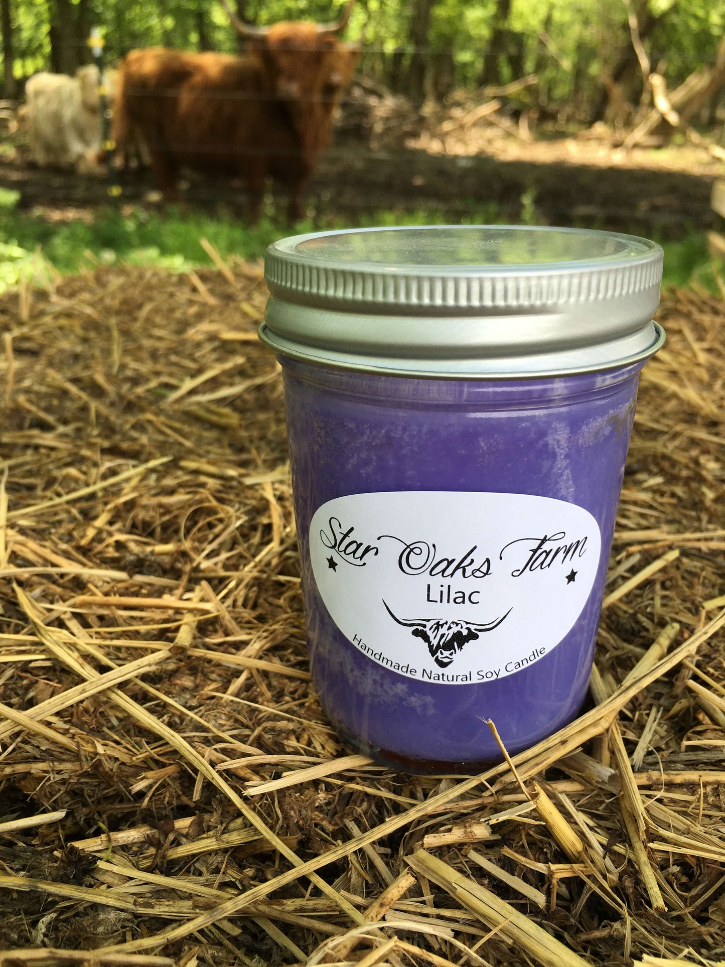 Lilac Soy Candle