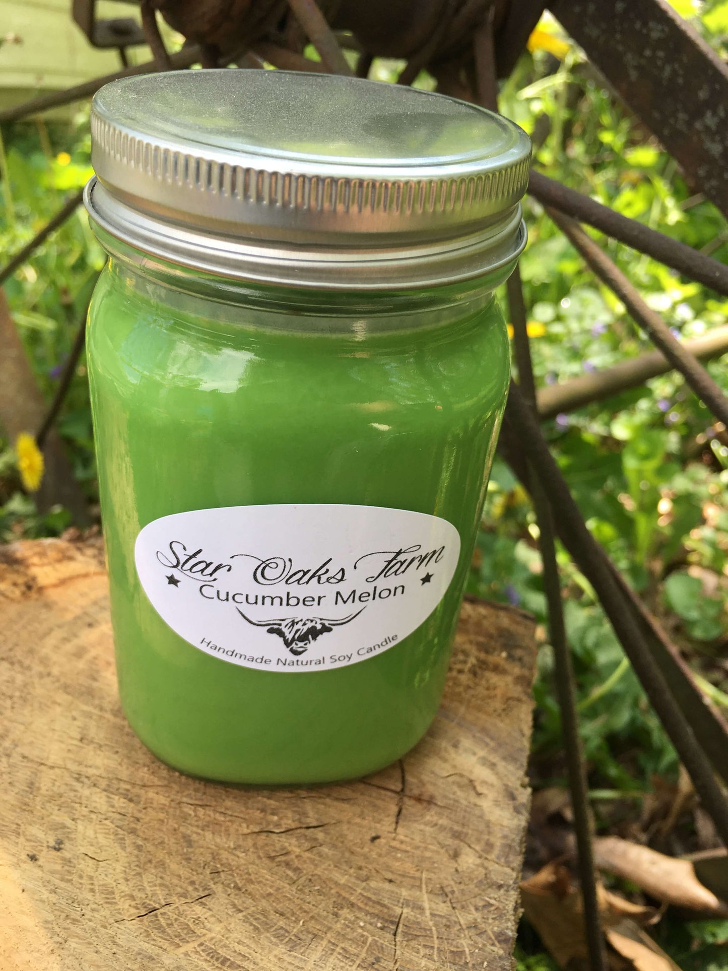 Cucumber Melon Soy Candle