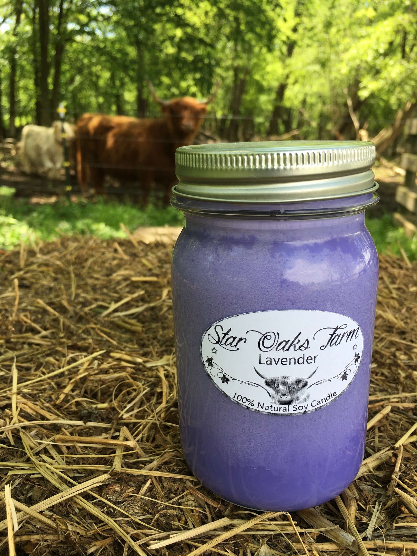 Lavender Soy Candle