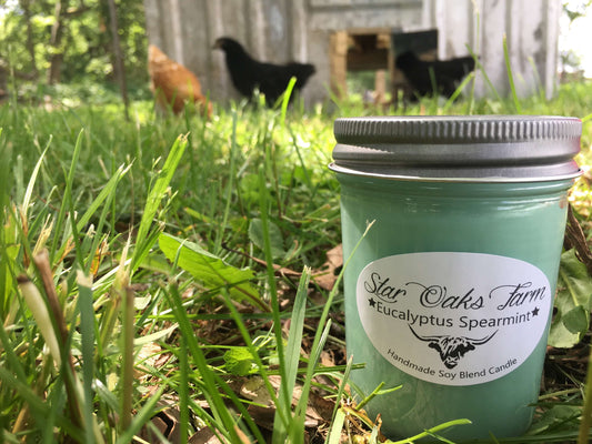 Eucalyptus & Spearmint Soy Blend Candle