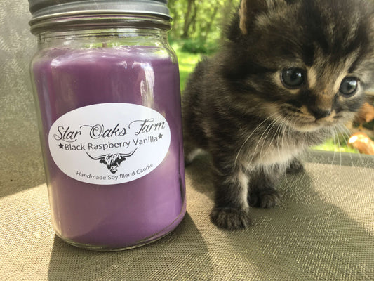 Black Raspberry Vanilla Soy Blend Candle