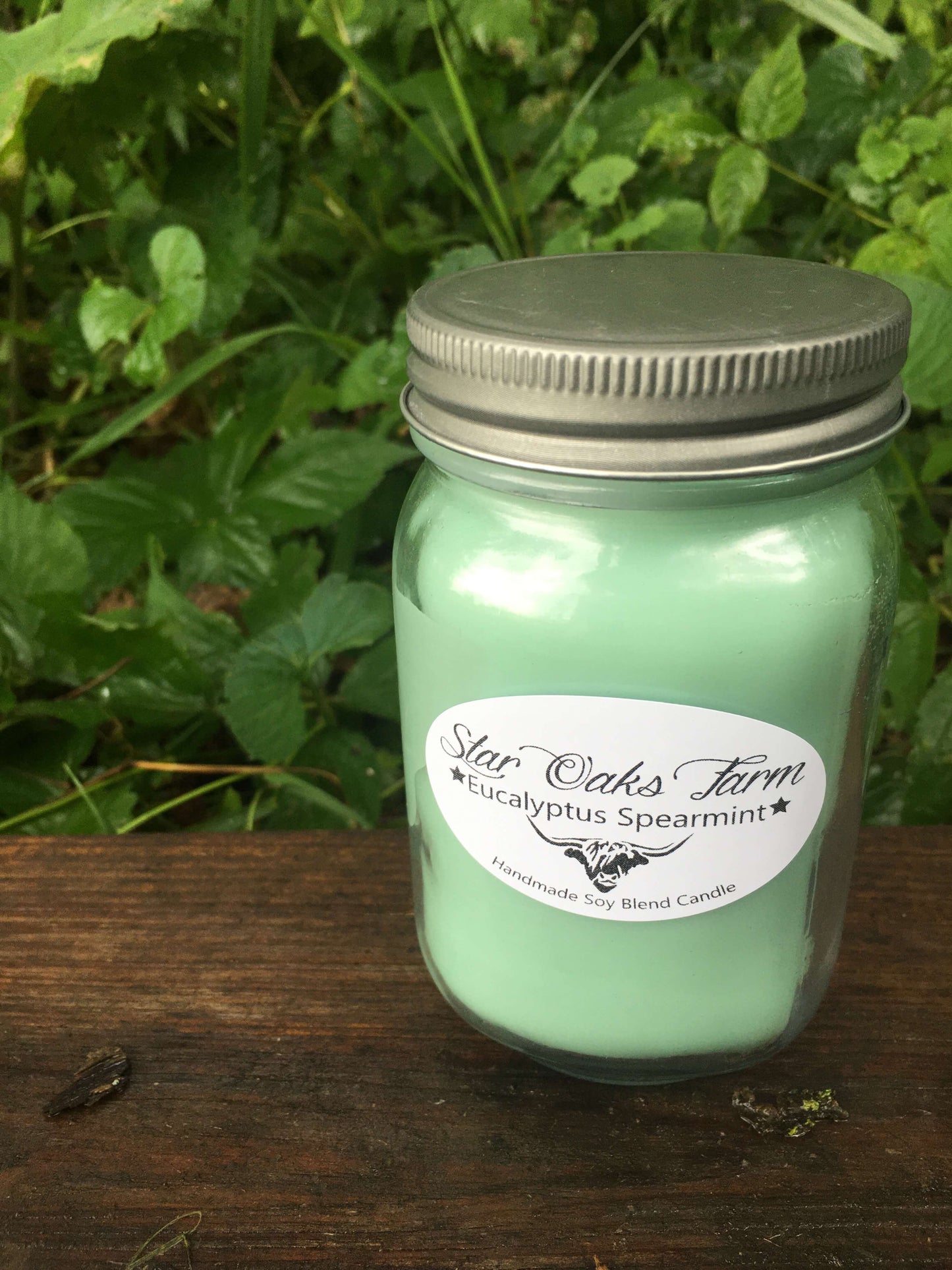 Eucalyptus & Spearmint Soy Blend Candle